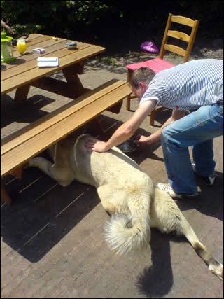 Atlas is liggens net zo groot als het hele bankje